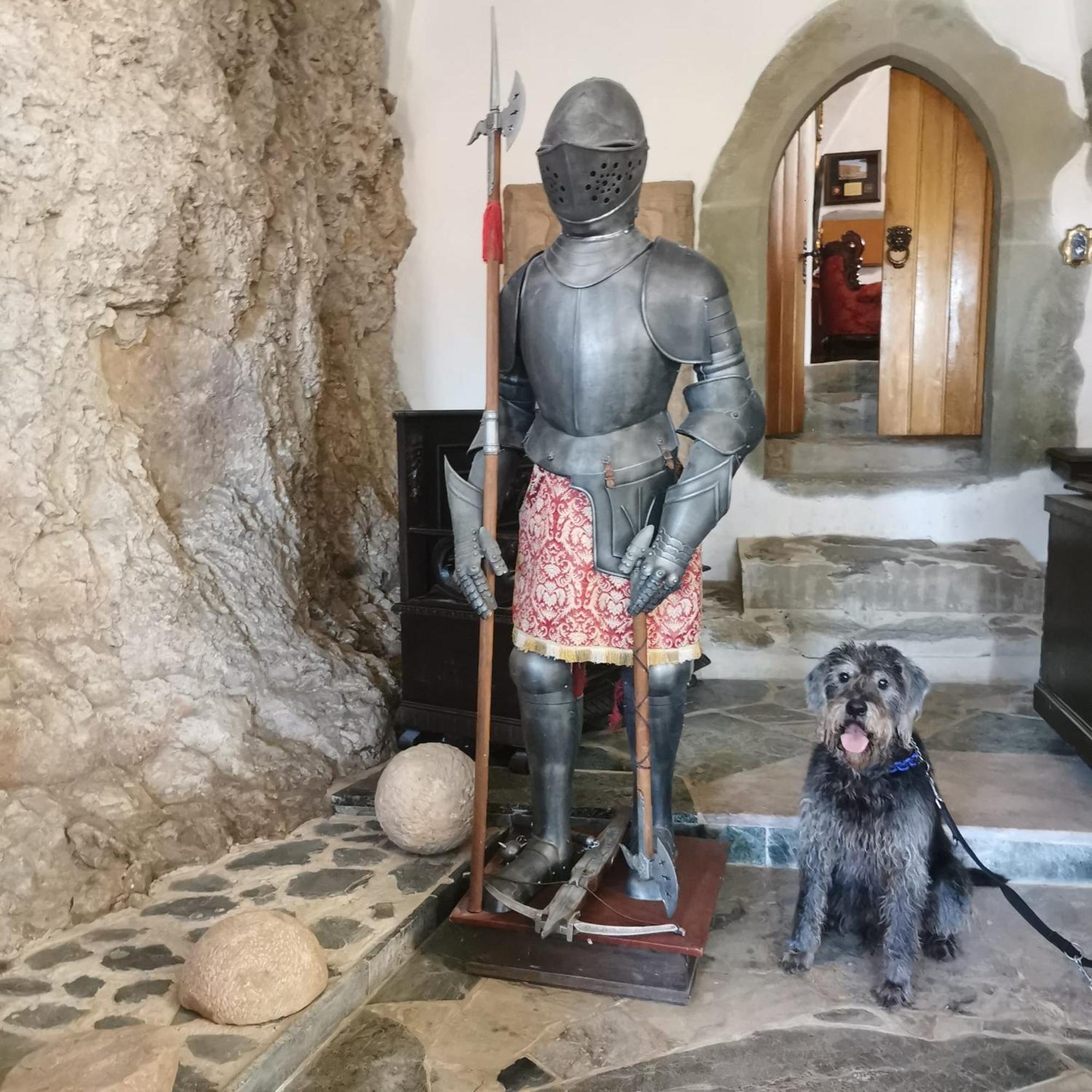 Burg Hermannstein - Monks Room Wetzlar Eksteriør bilde